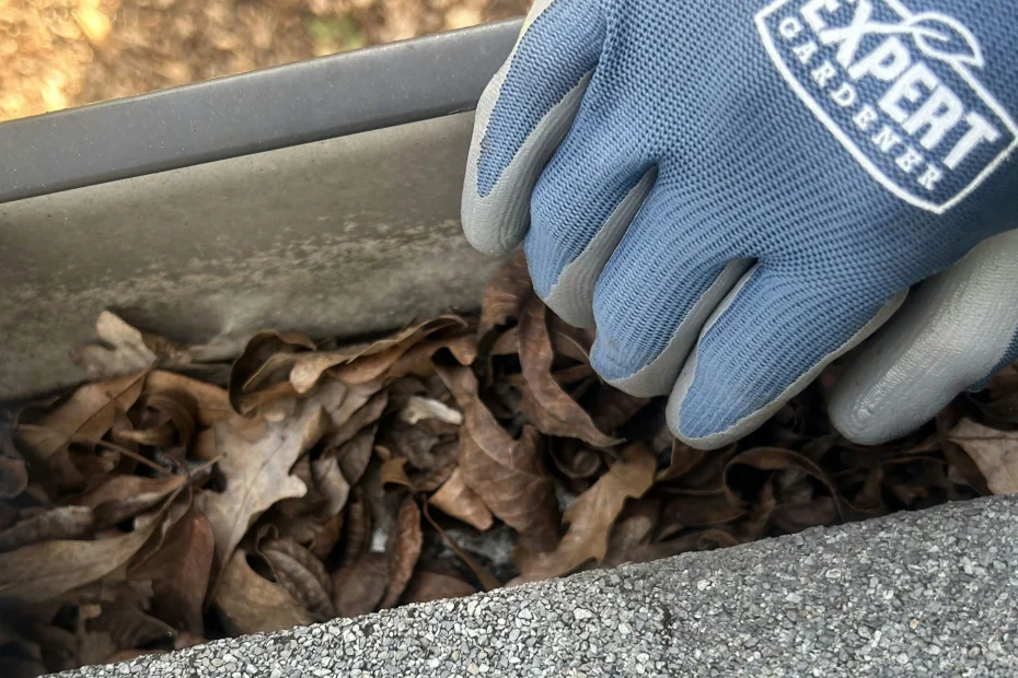 Gutter Cleaning Cameron, MO